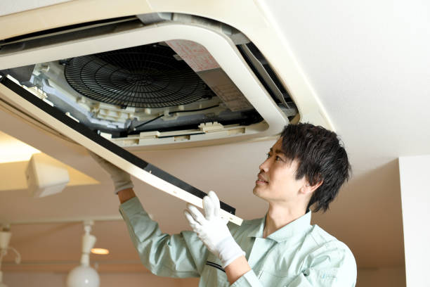 Best Residential Air Duct Cleaning  in Argo, AL