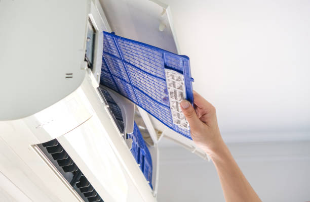 Best Air Duct Cleaning Near Me in Argo, AL