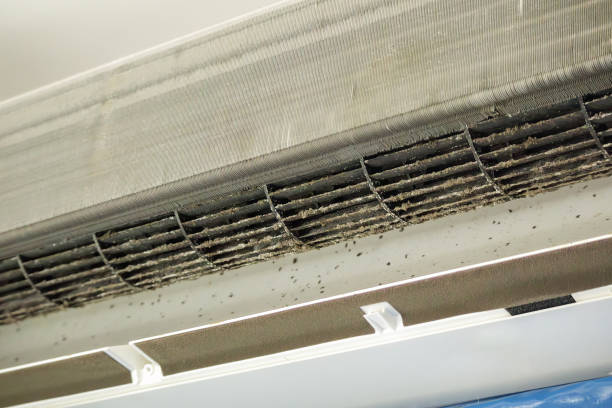 Reliable Argo, AL Airduct Cleaning Solutions