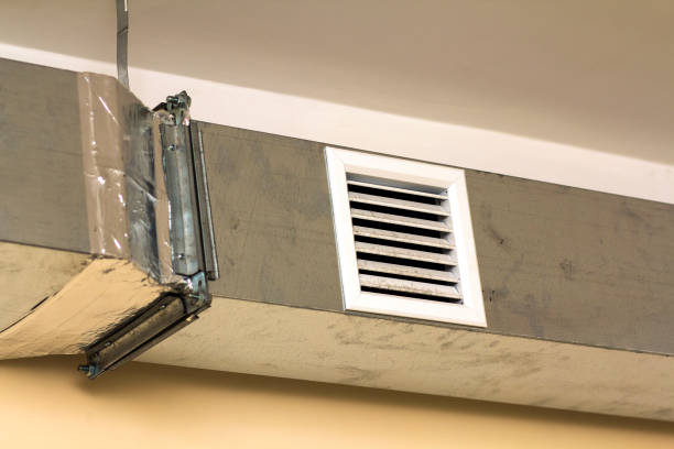 Best Affordable Duct Cleaning Services  in Argo, AL